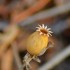 Une macro