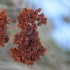 Une macro