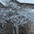 Le temps d'hier