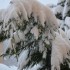 Le temps d'hier