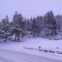 La neige