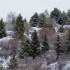 Belle nature