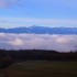 Brouillard