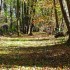 Début automne 2012