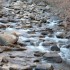 Rivière