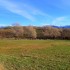 Campagne (2)