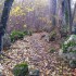 Nature d'automne