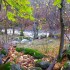 Nature d'automne