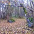 Nature d'automne