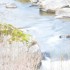La rivière (3)