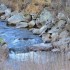 La rivière (3)