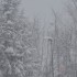 La neige ce matin (2)