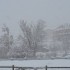 La neige ce matin (2)