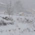 La neige ce matin (2)