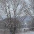 Neige ce matin