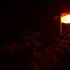 Neige de nuit