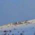 Paysage changeant