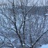 Neige (2)