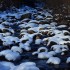 Rivière (4)