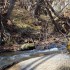 Un ruisseau