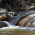 Un ruisseau