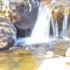 Un ruisseau (1)