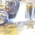 Un ruisseau (1)