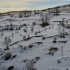Paysages blancs