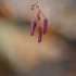 la pluie