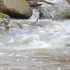 La rivière (4)