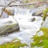 La rivière (4)