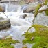 La rivière (4)