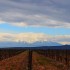 Le Canigou