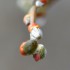 Bourgeons