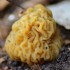 Morilles