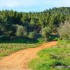 La campagne