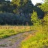 La campagne