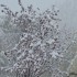 Mauvais temps