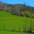 Paysage