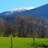 Paysage
