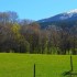 Paysage