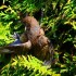 Un oiseau