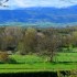 Paysage