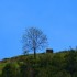 Ruine du Chateau de Llivia