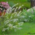 Espace fleurie