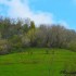 Paysage