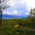 Paysage