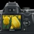 Mon Compagnon Photos