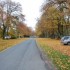 Couleurs d'Automne à Montigny Le Gannelo