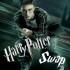 Le petit swap magique Harry Potter...